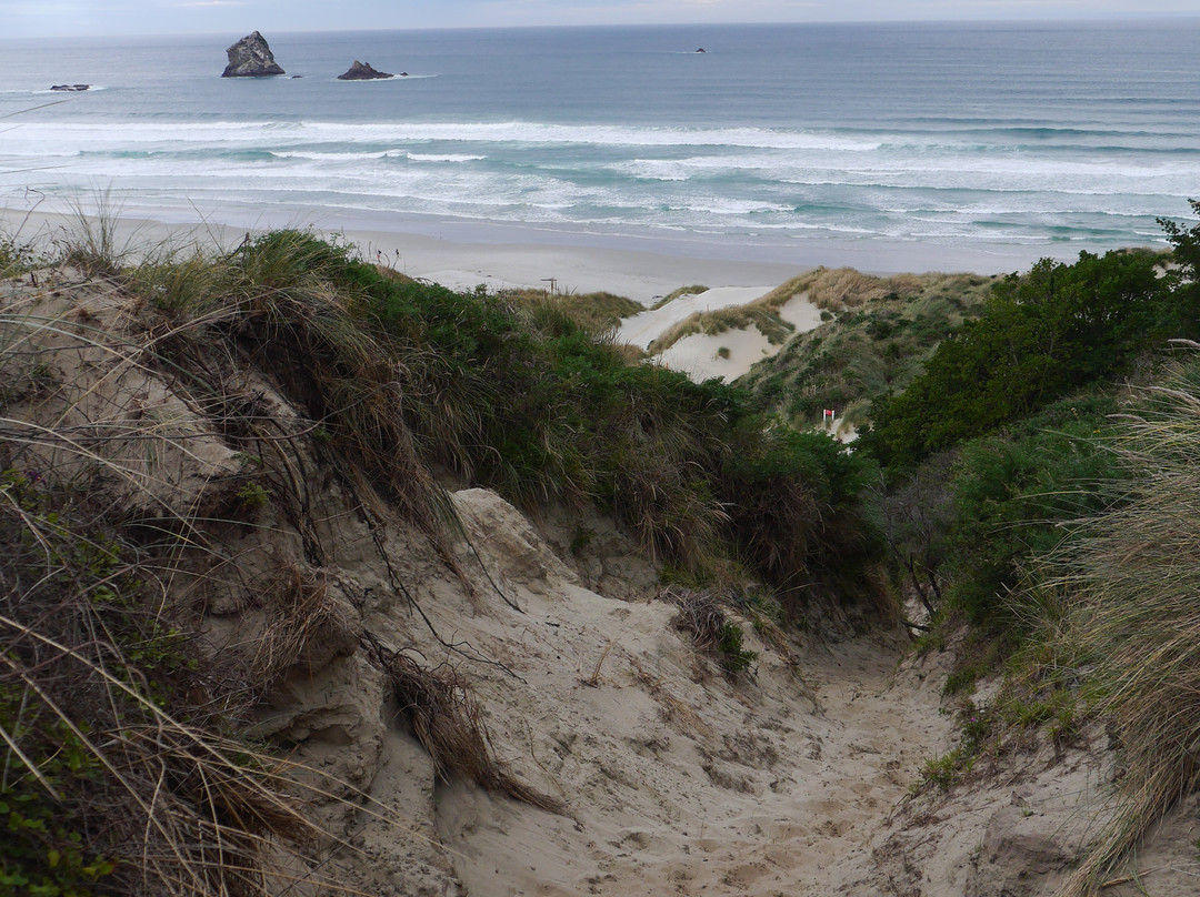 Sandfly Bay Track-但尼丁必去景点
