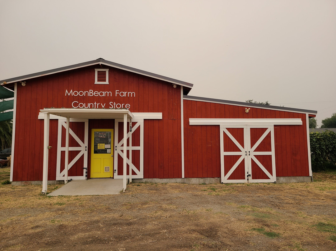 MoonBeam Farm-Corning必去景点