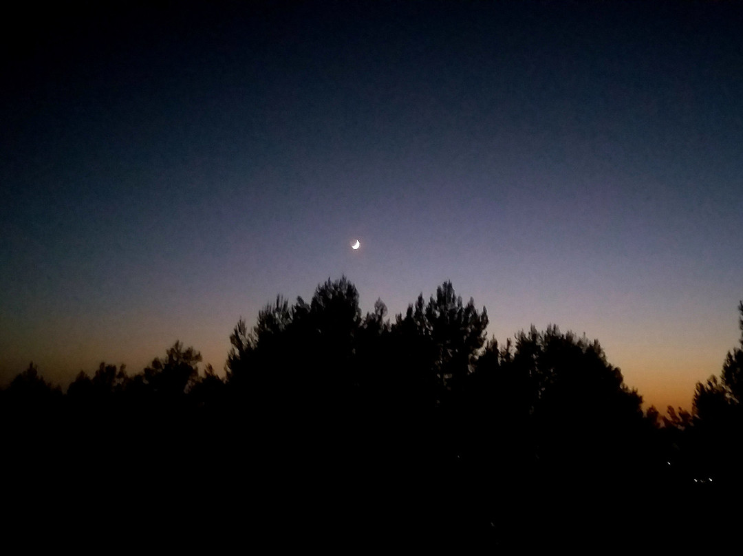 Osservatorio Astronomico di Montedoro景点图片