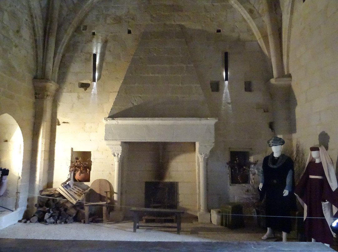 Chateau de Coudray-Salbart景点图片
