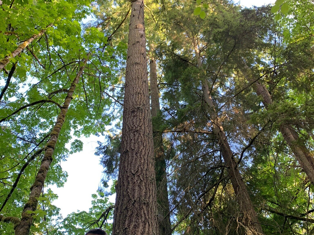 Manchester State Park景点图片