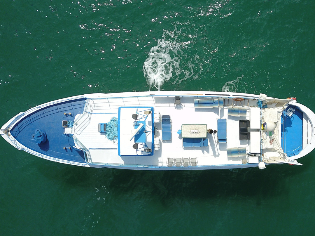 CROCIERE RIVIERA DEL CONERO-安科纳必去景点