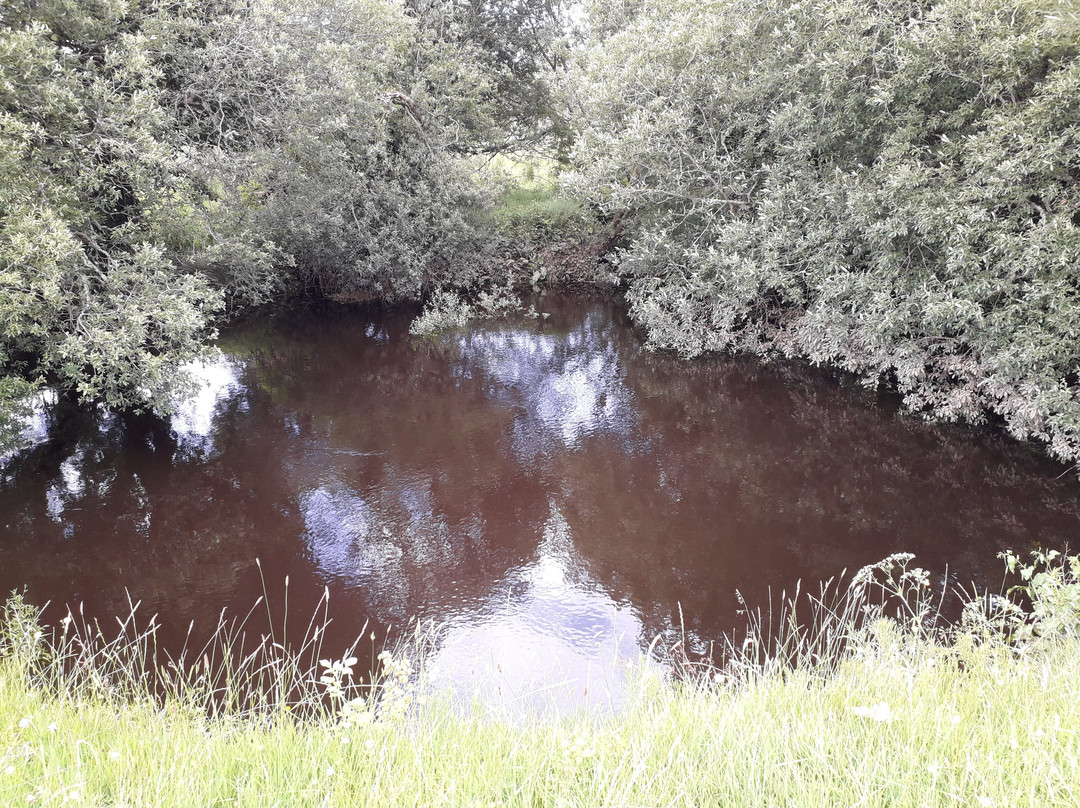 The Shannon Pot-Blacklion必去景点