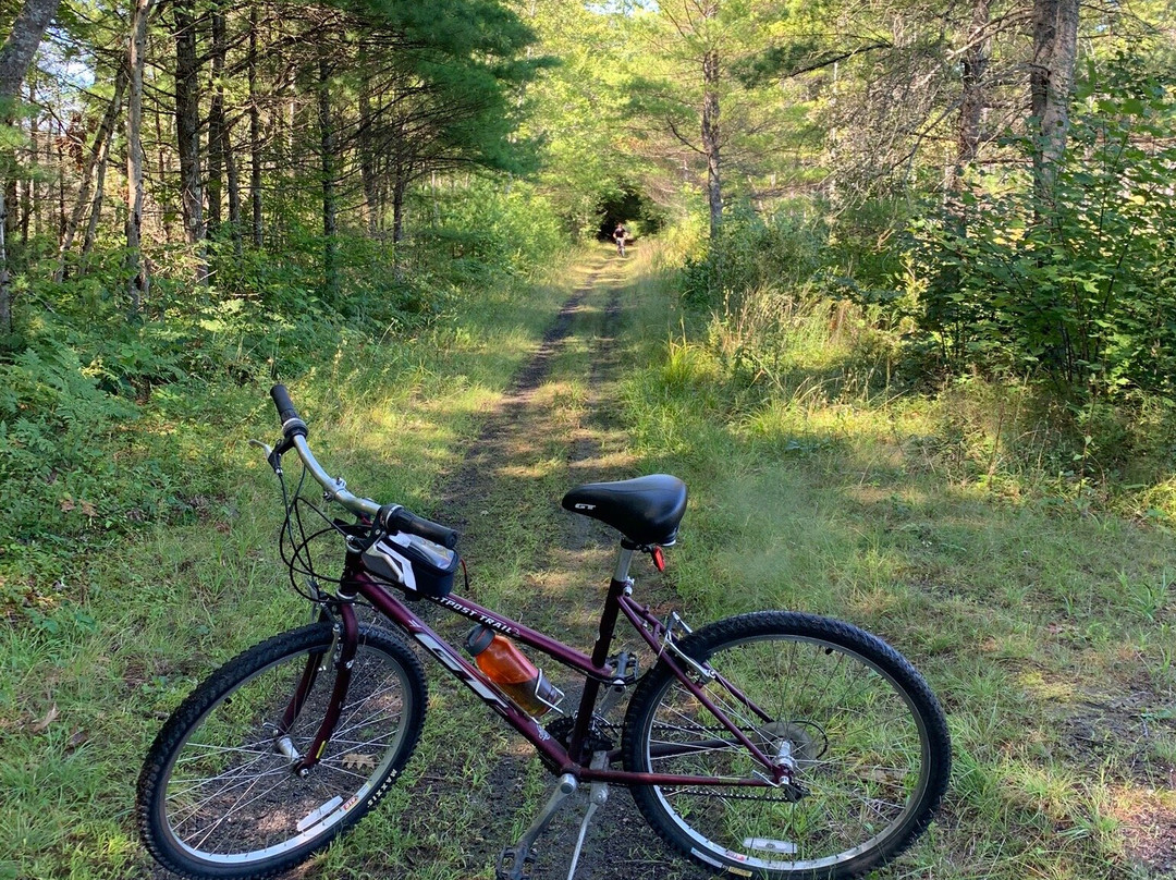 Cheshire Recreational Rail Trail景点图片