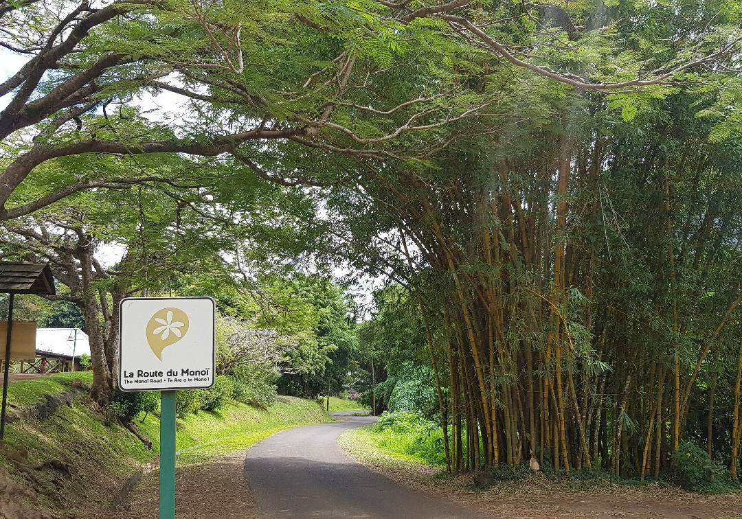 Lycée Agricole Opunohu-莫雷阿岛必去景点