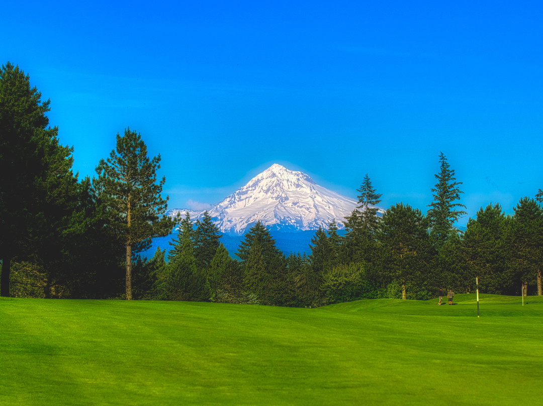 Persimmon Country Club-格雷舍姆必去景点