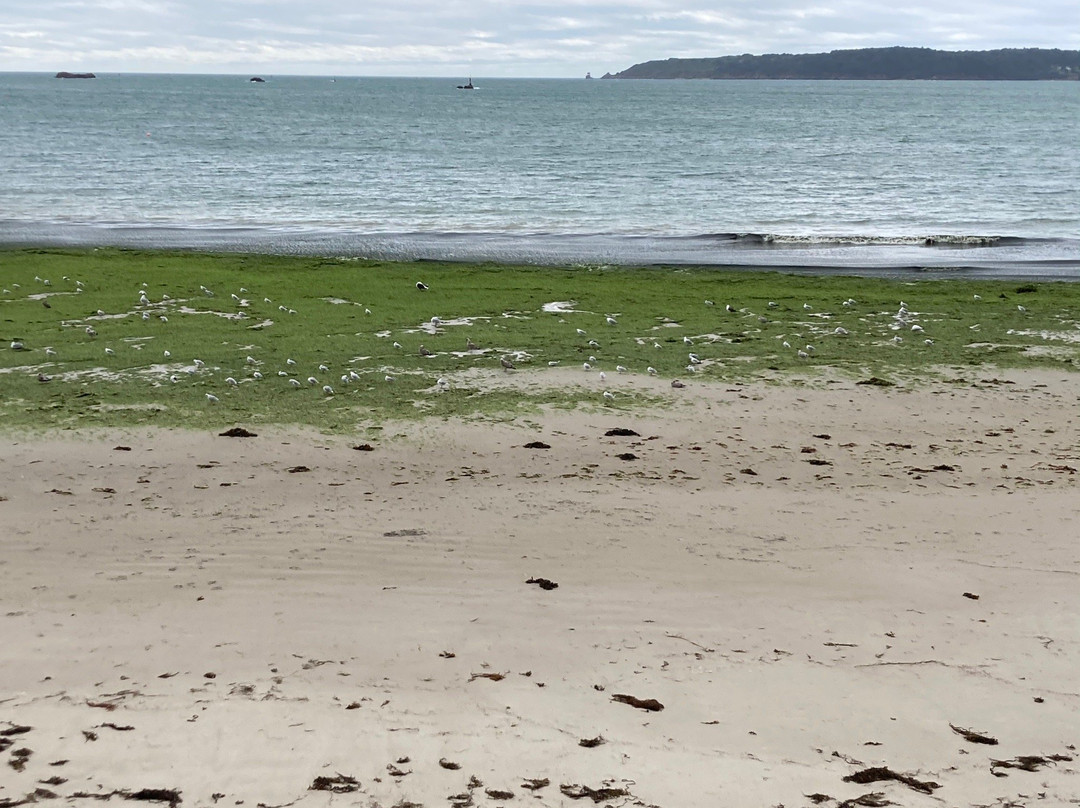 St. Helier Beach-St. Helier必去景点
