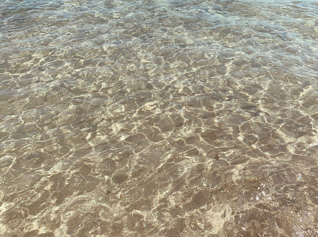 Ultima Spiaggia delle Cesine景点图片