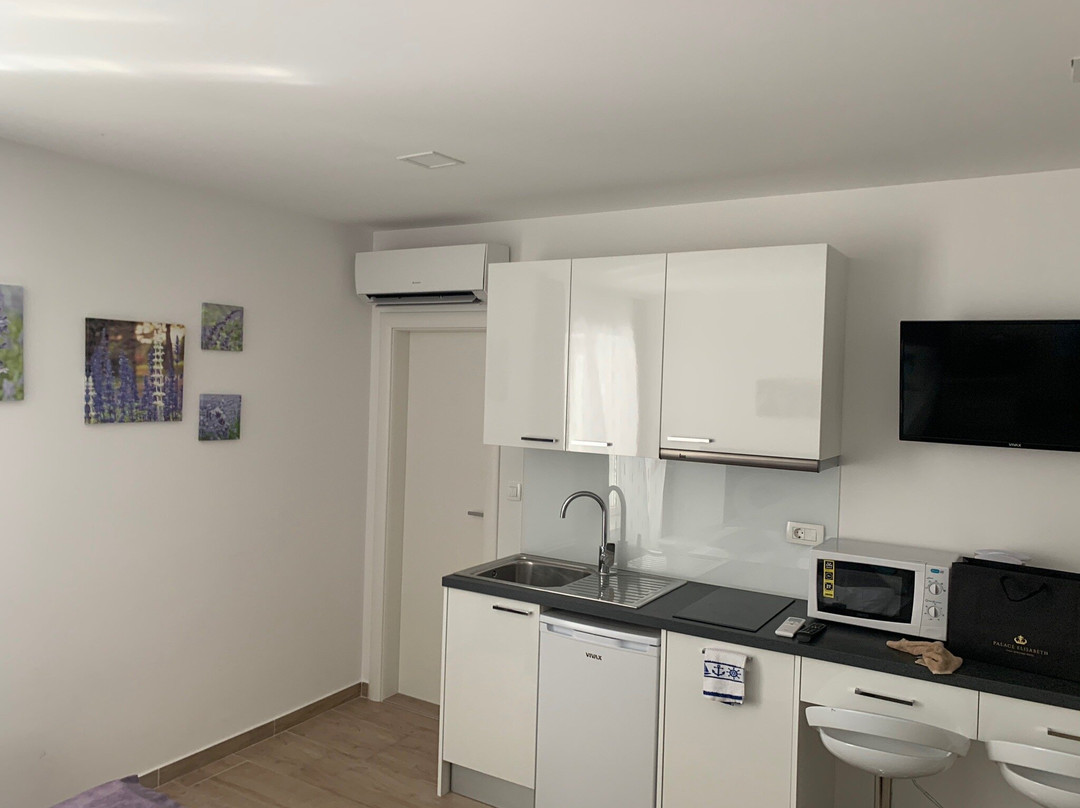 Apartments Villa Tudor主图