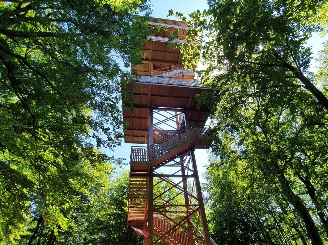 Jan Pawel II Wiezyca Observation Tower景点图片