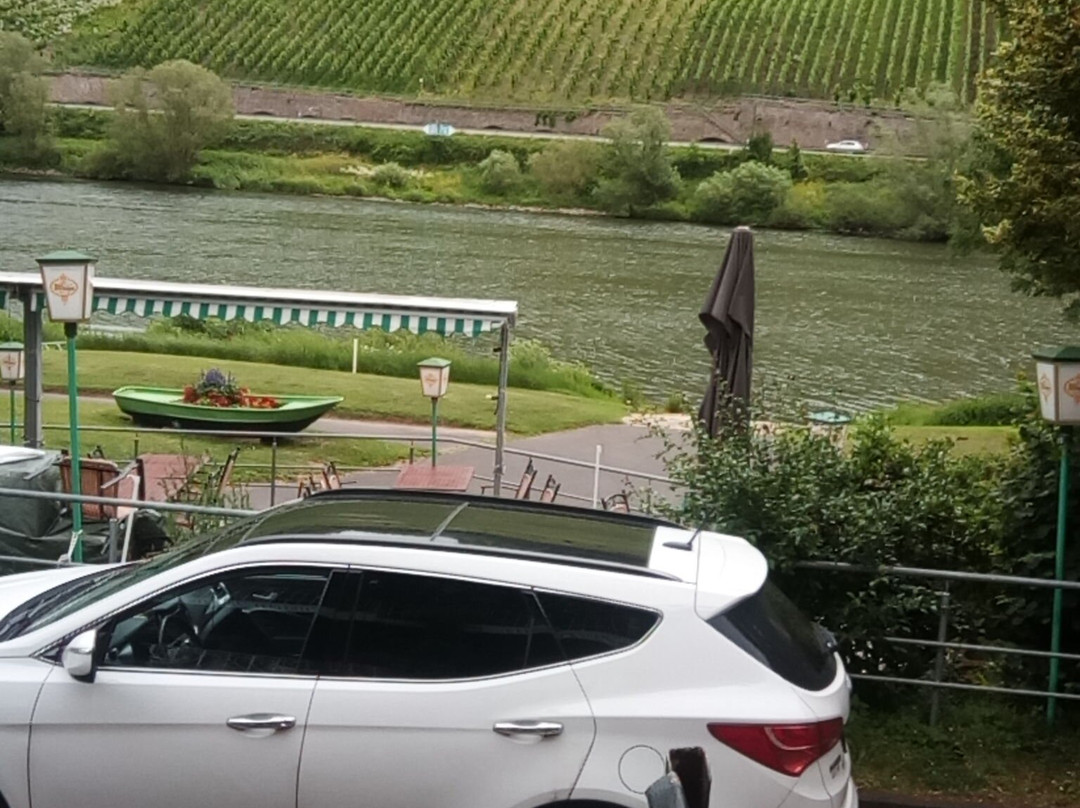 Ferienweingut Haus Karina主图