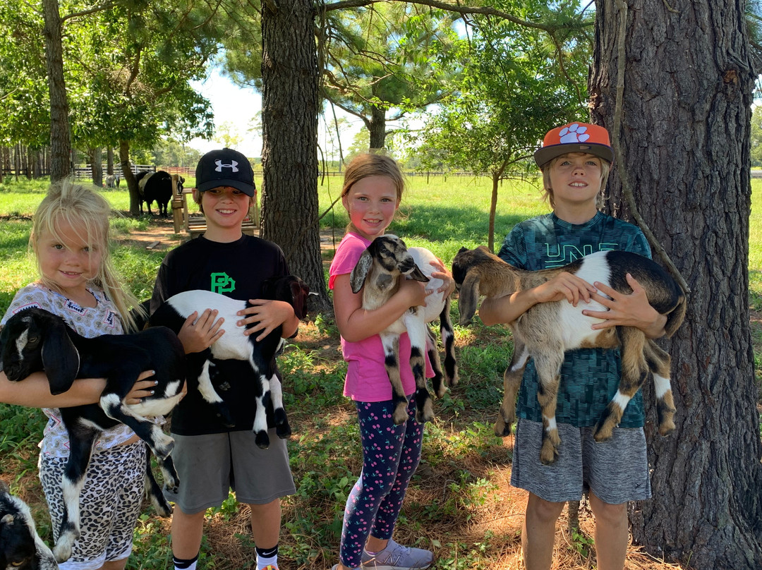 The Goatery At Kiawah River景点图片