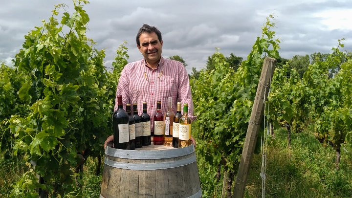 Saint-Christoly-De-Blaye旅游攻略图片