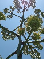 Ghost Town Texas-Terlingua必去景点