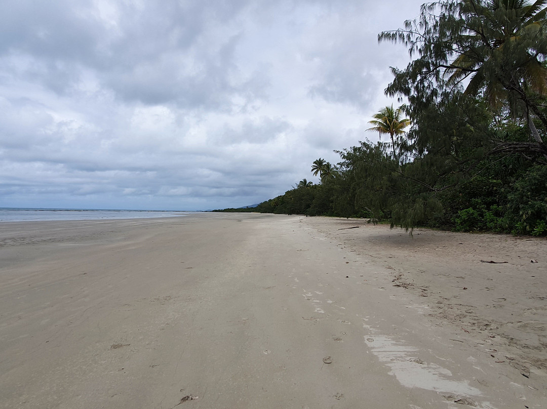 Myall Beach-Cape Tribulation必去景点