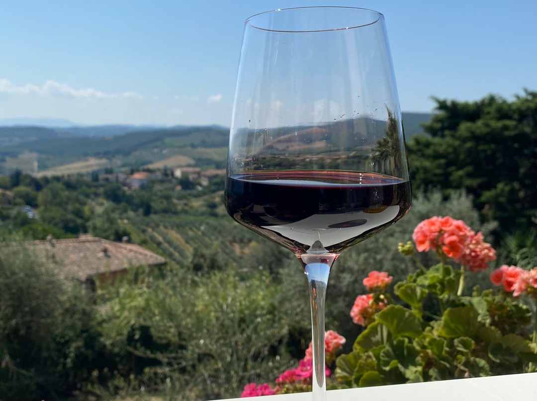 Vernaccia di San Gimignano Wine Experience - La Rocca-圣吉米尼亚诺必去景点