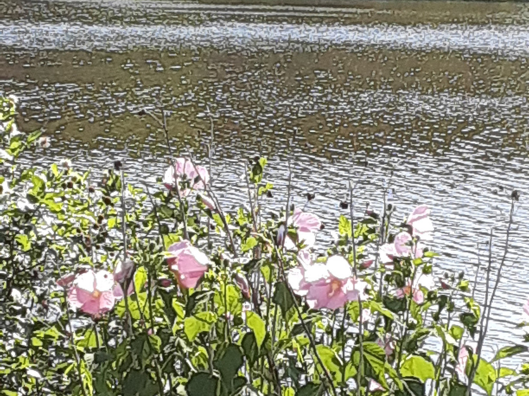 Isaac Lake-米德尔堡海茨必去景点