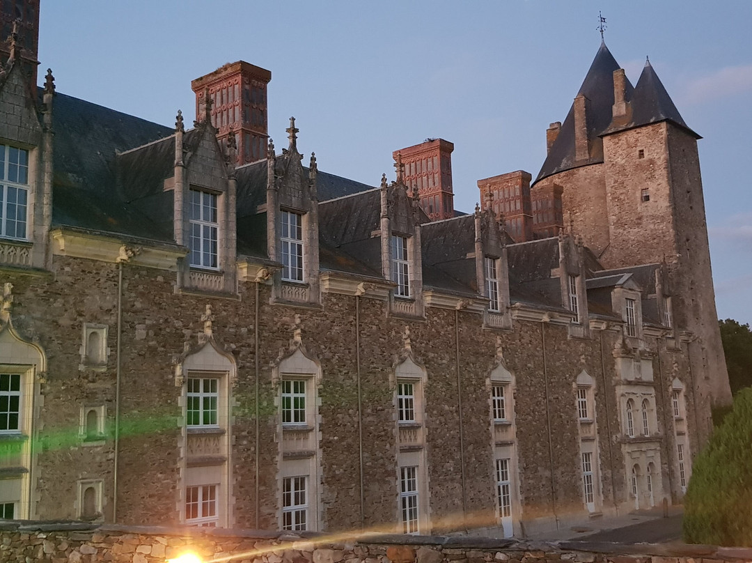 Chateau de la Groulais景点图片
