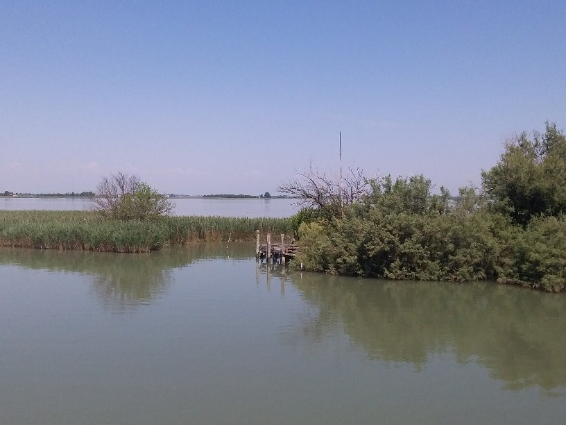 Riserva Naturale Foci dello Stella景点图片