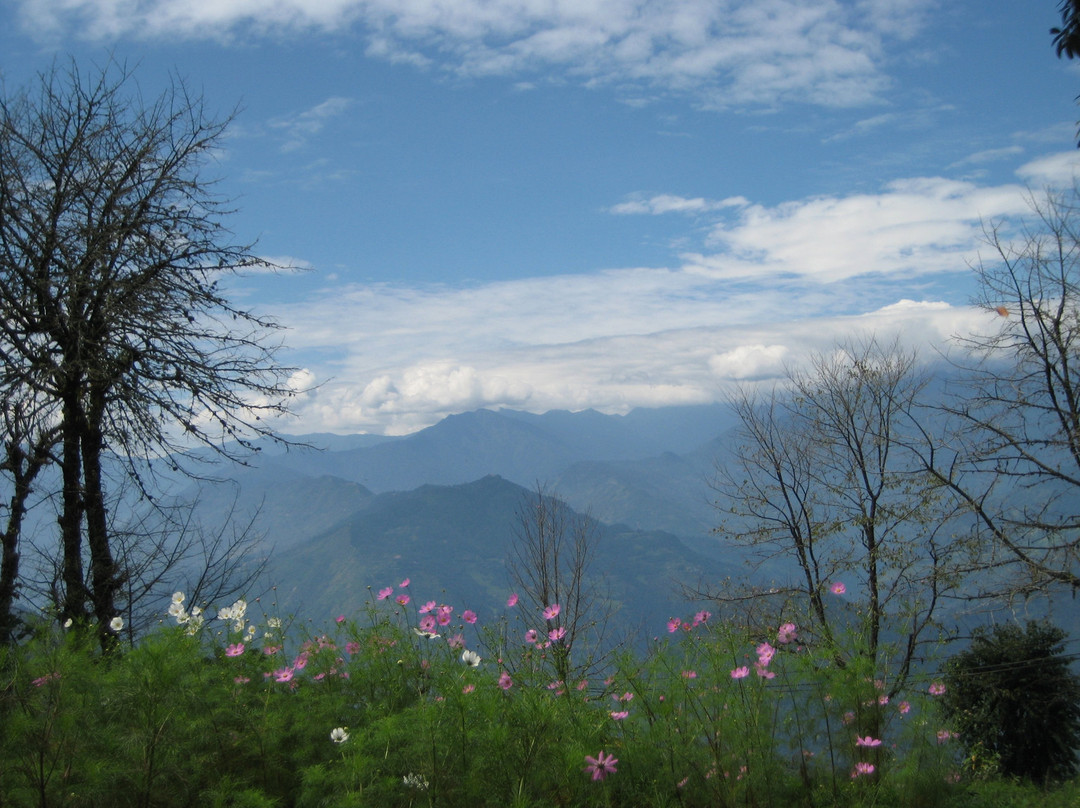 Mt. Narsing Village Resort主图