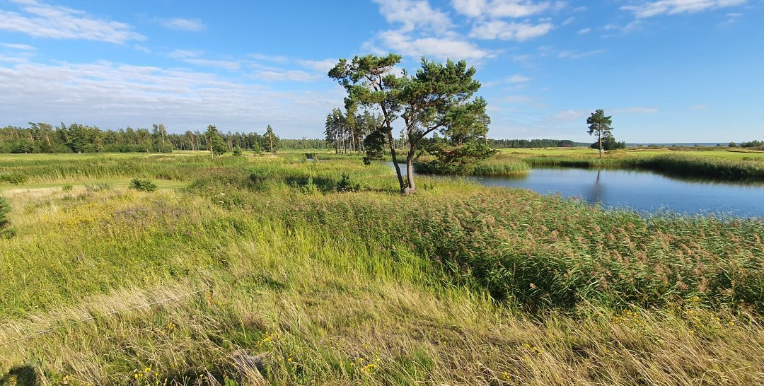 Parnu Bay Golf Links-Tahkuranna必去景点