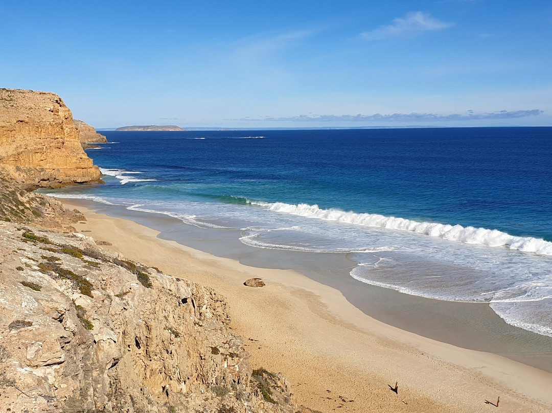 Ethel Wreck Lookout-Inneston必去景点
