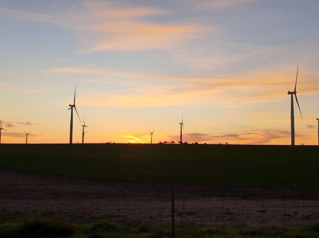 Wattle Point Wind Farm-Edithburgh必去景点