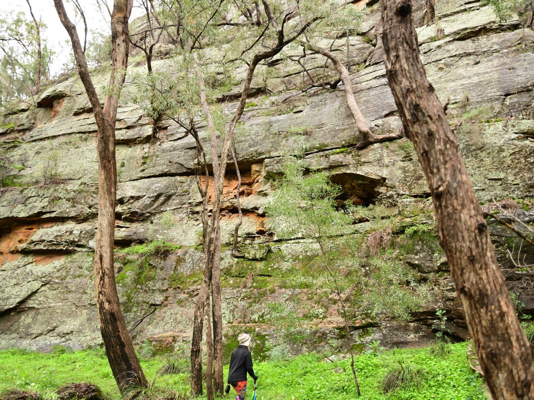 Dandry Gorge Aboriginal Area景点图片