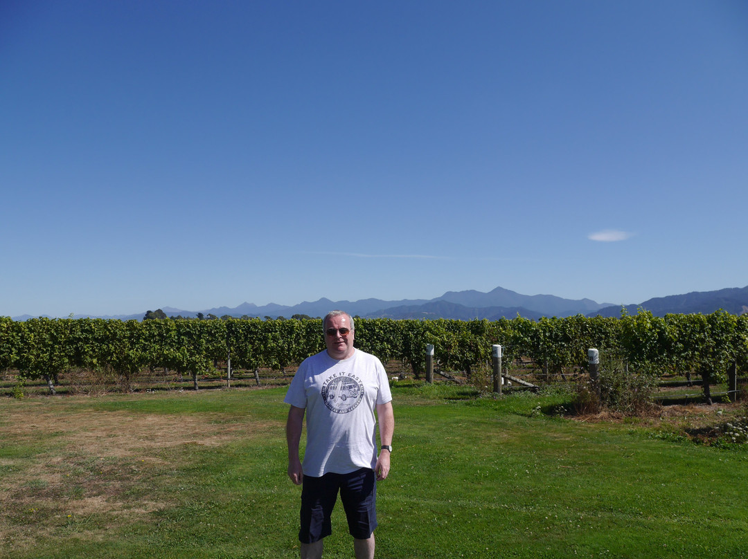 Jackson Estate Cellar Door and Winery景点图片