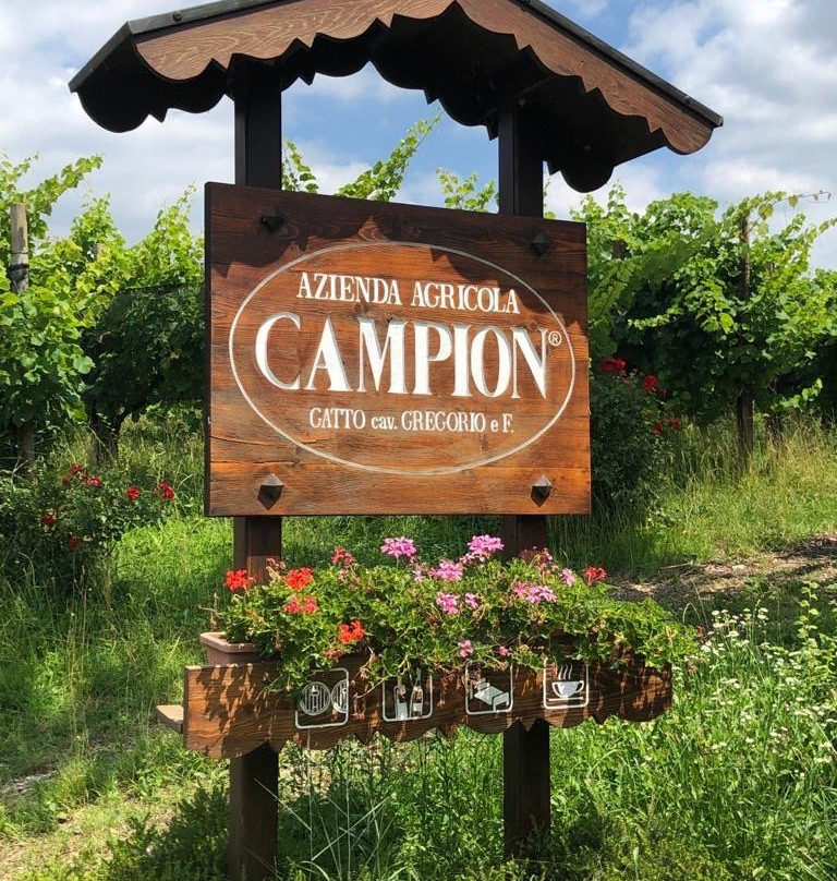 Azienda Agricola Campion主图