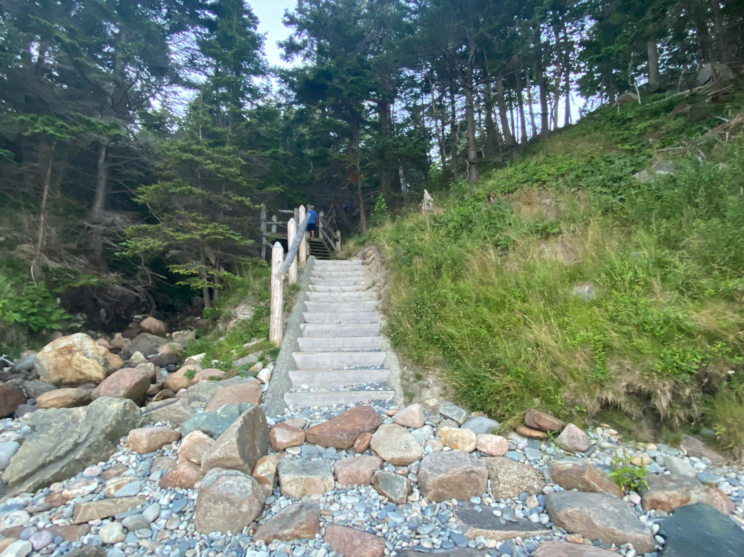 Little Hunters Beach-阿卡迪亚国家公园必去景点