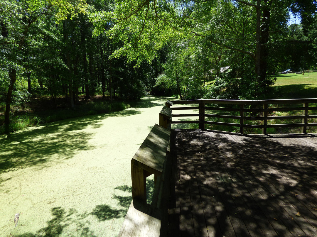 Molly's Rock Picnic Area景点图片
