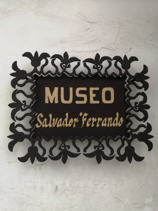 Museo Salvador Ferrando景点图片