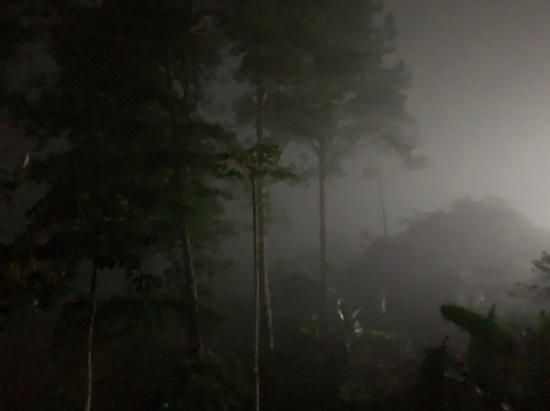 Eco Granja Don Lolo主图