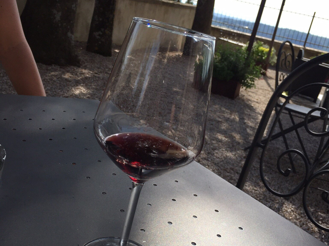 Enoliteca Consorzio Vino Nobile-蒙特普尔恰诺必去景点