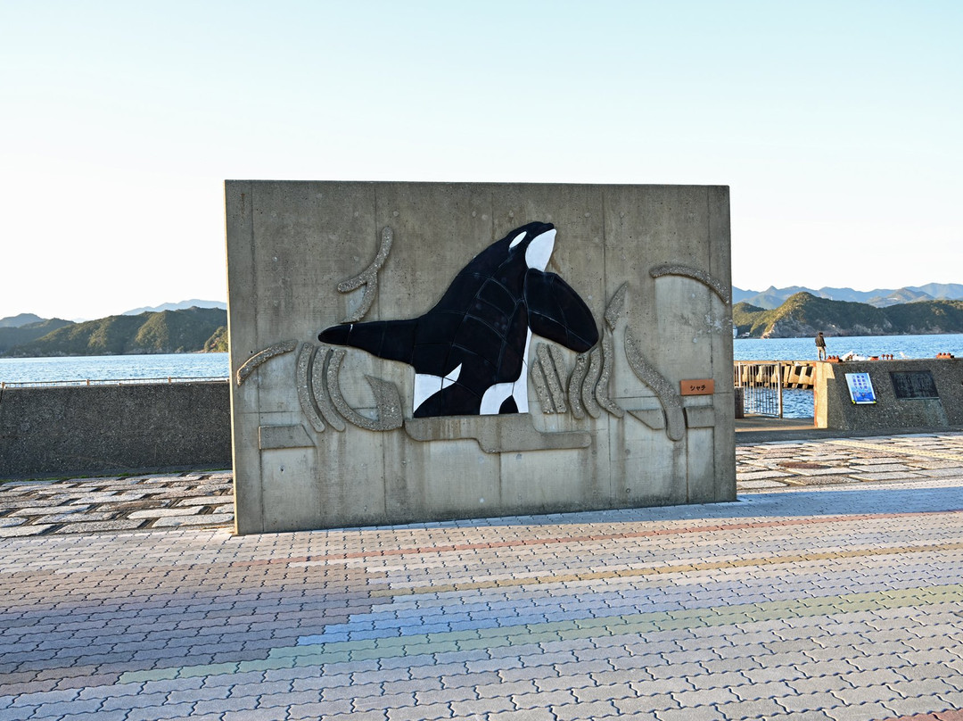 Taiji Kujirahama Park景点图片