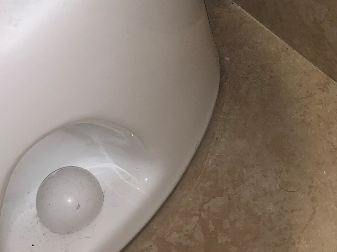 voco The Tiger Hotel Columbia by IHG主图