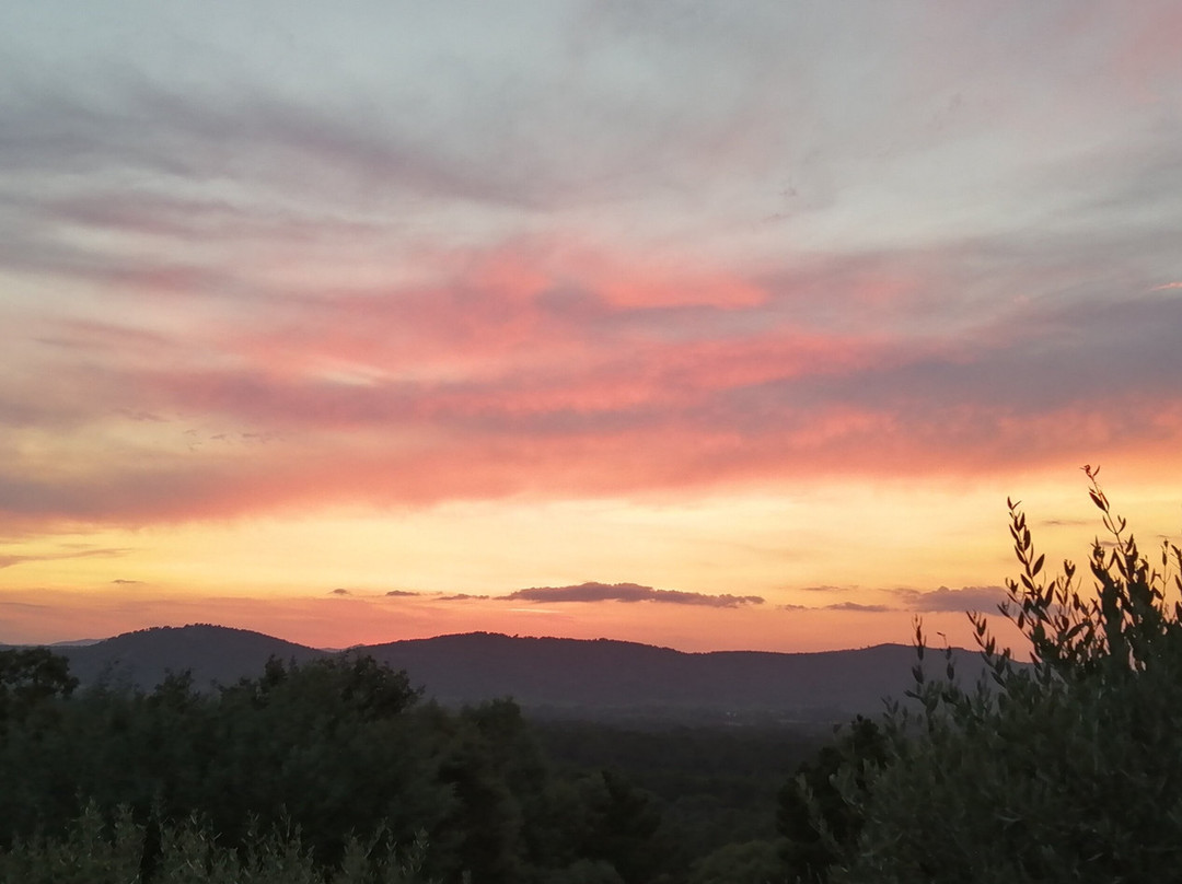 La Maison de Nathalie主图