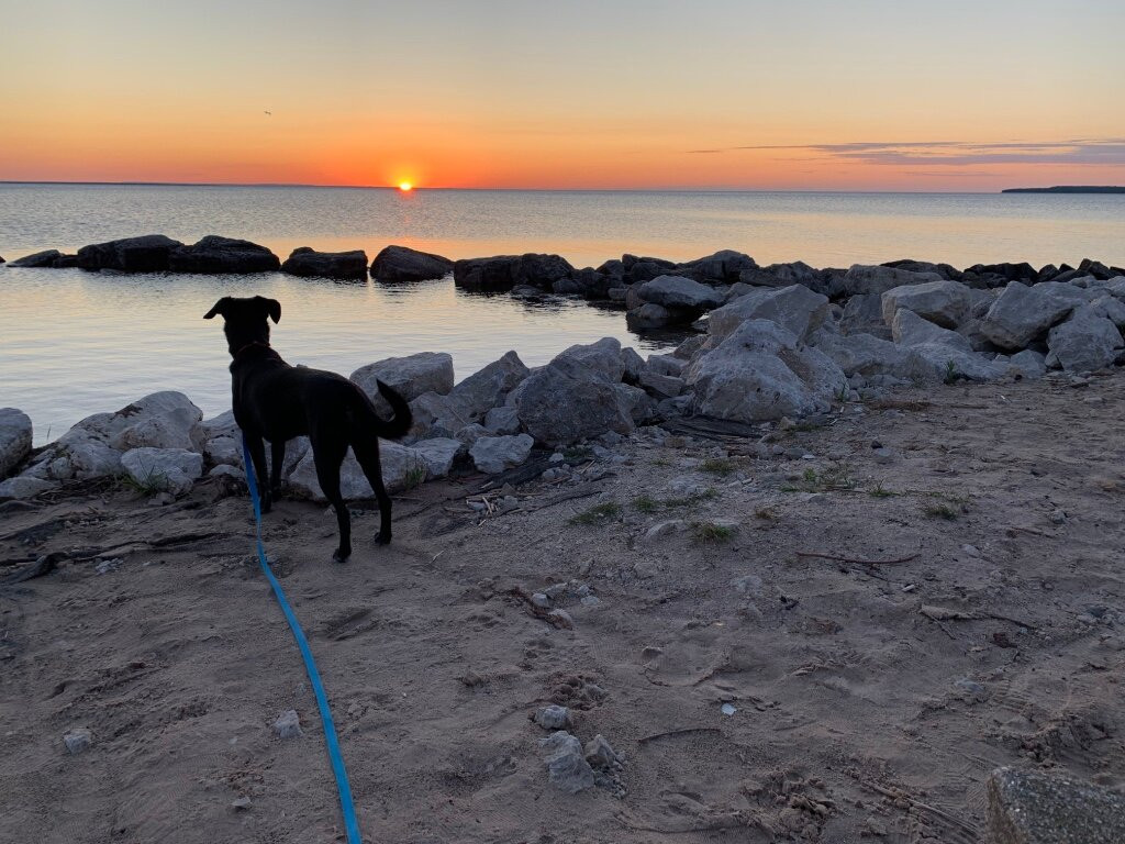 Bayview Motel Lakefront主图