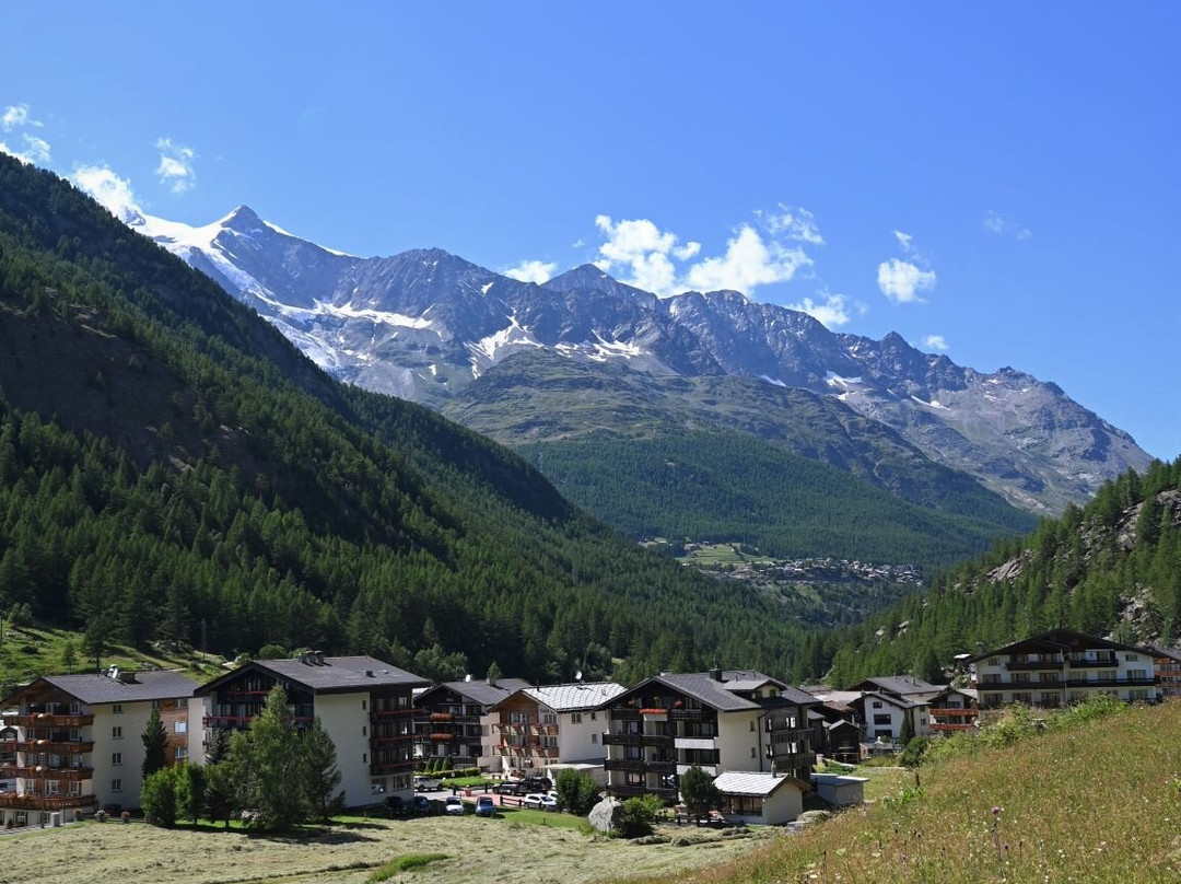 Hotel Alpenhof主图