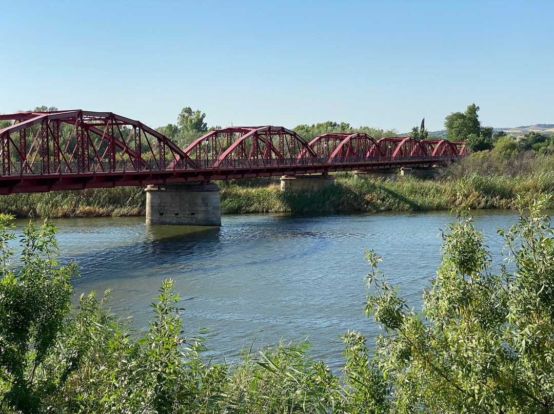 Puente de Hierro-塔拉韦拉-德拉雷纳必去景点