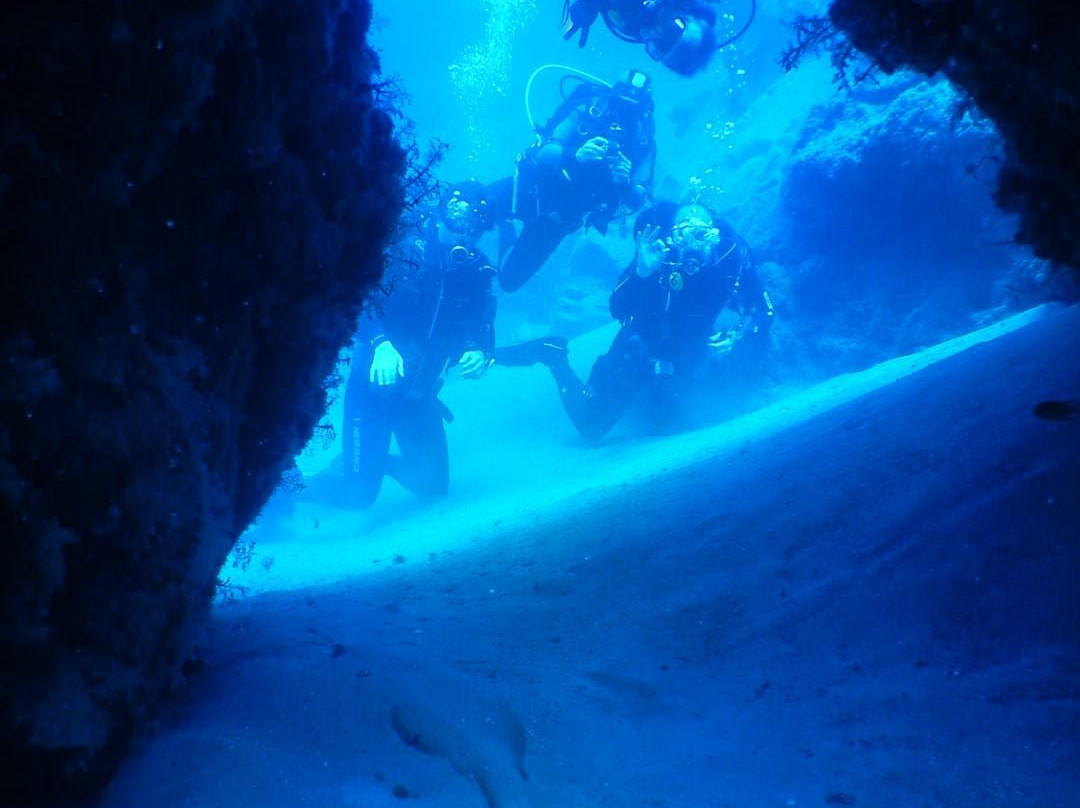 Alisios Sub Centro de Buceo-卡门港必去景点