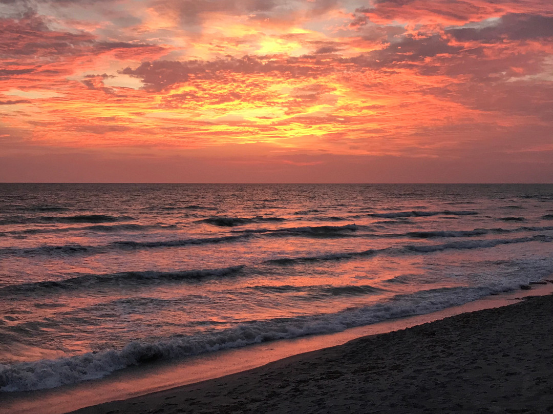 Manasota Beach Club主图