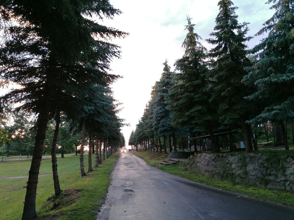 Jezioro Nyskie景点图片