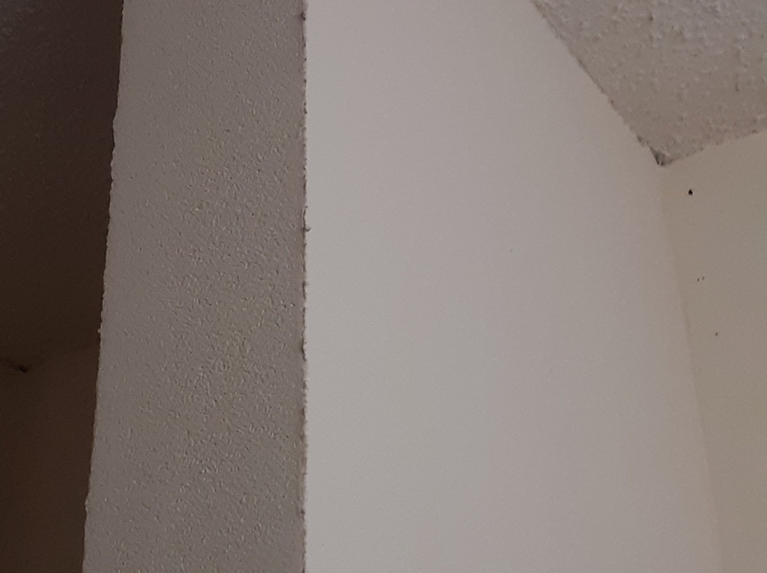 Sure Stay Plus By Best Western St Marys主图