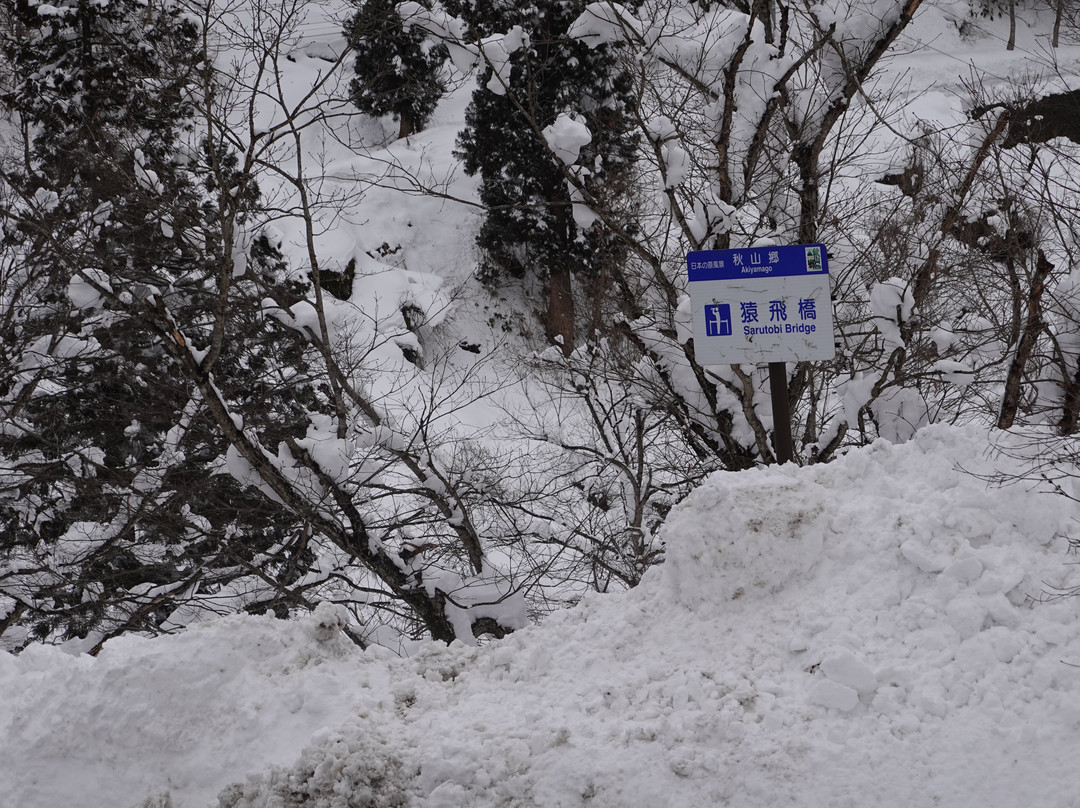 Sarutobi Bridge-津南町必去景点