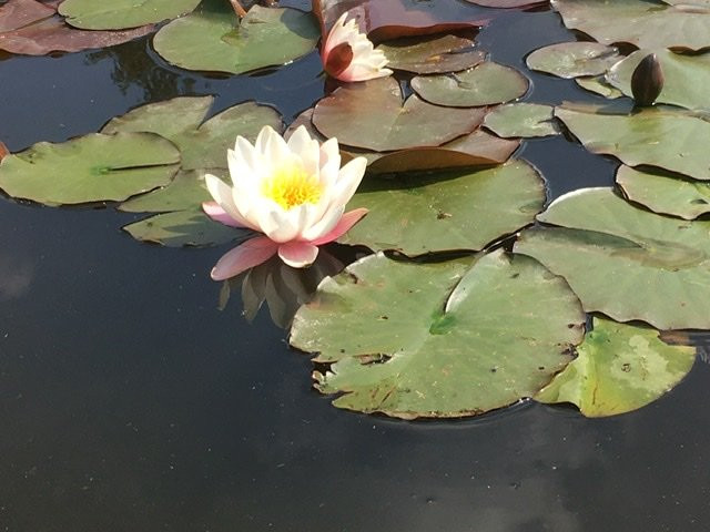 Botanical Garden Bečov nad Teplou-Becov nad Teplou必去景点