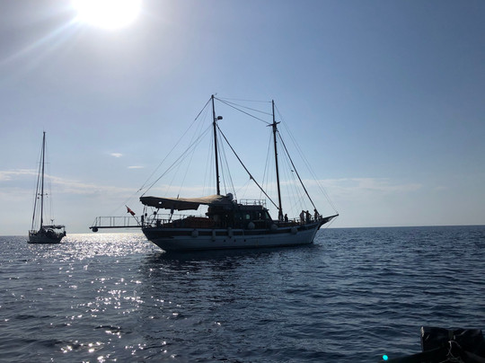 Sailing 5 Terre - Day Tours-拉斯佩齐亚必去景点