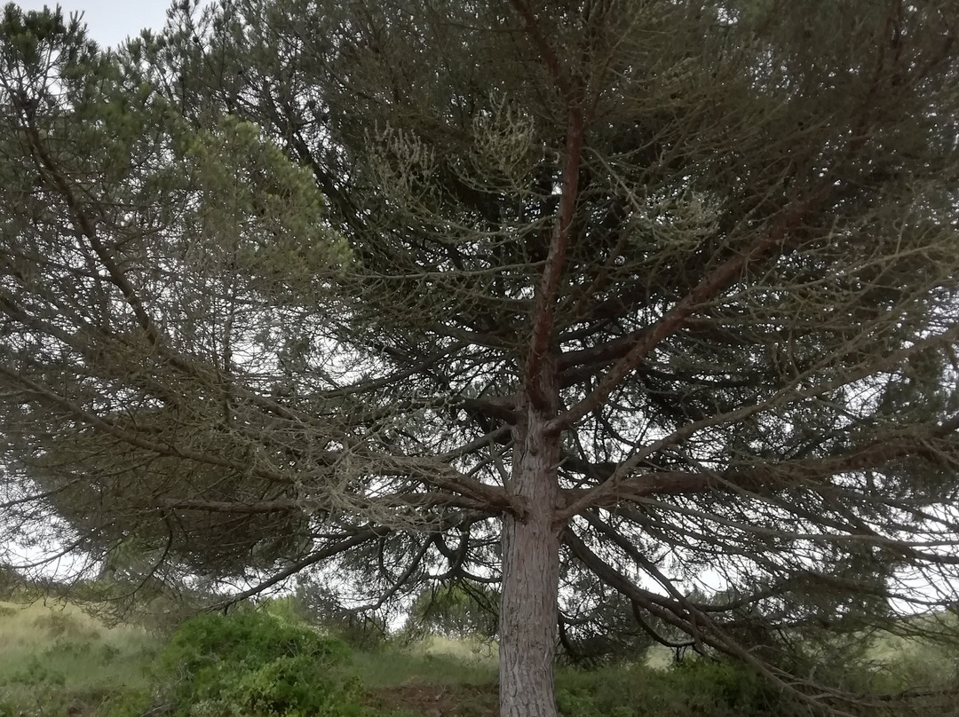 Cascata do Magoito-Magoito必去景点