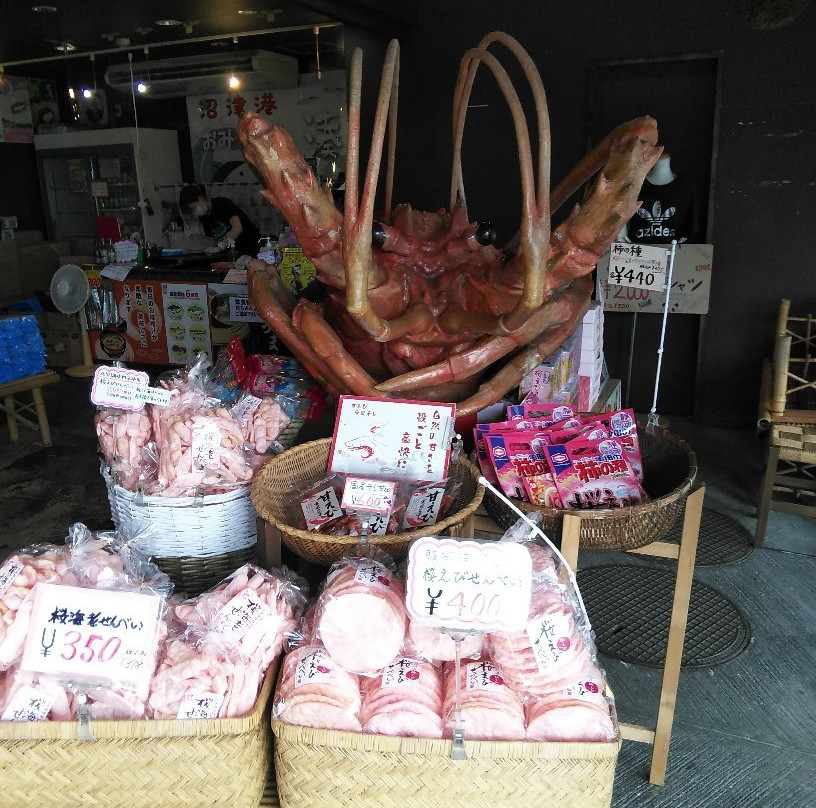 沼津港景点图片